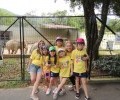 Alunos do Univest visitaram Zoológico e Parque Temático em Pomerode