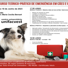 Minicurso de Emergência em Cães e Gatos | 17 e 18/JUN/2023