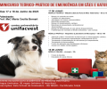Minicurso de Emergência em Cães e Gatos | 17 e 18/JUN/2023